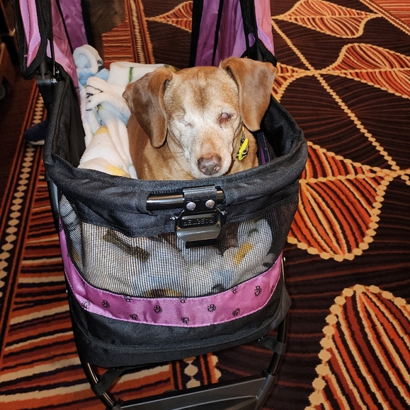 Meet your Posher, Angie - Picture 3 of 3